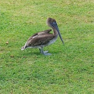 Meet your Posher, Mariam